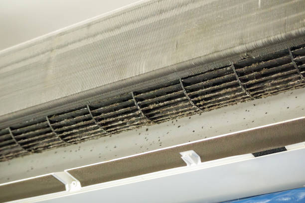 Best Emergency Air Duct Cleaning  in Walls, MS